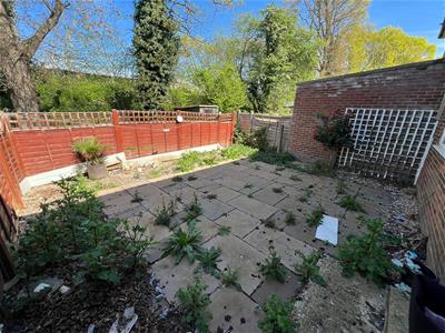 Picture 19